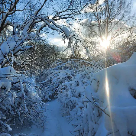 Apartmán Cassovia *