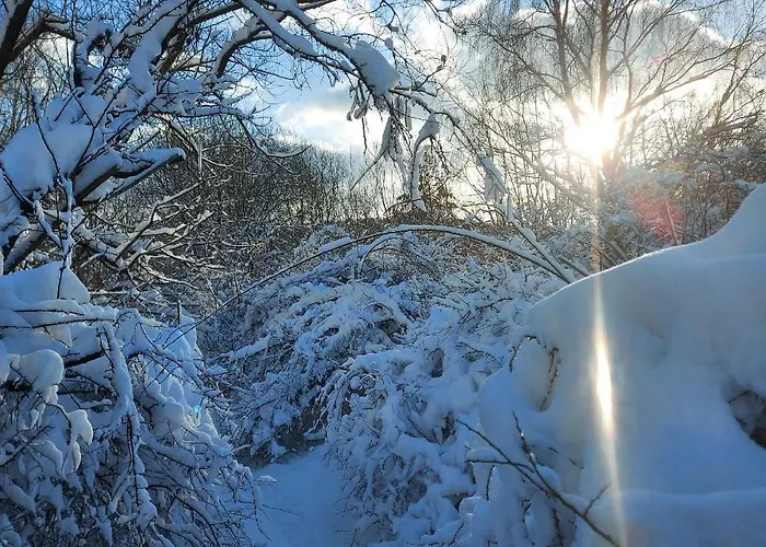 Apartment Cassovia *